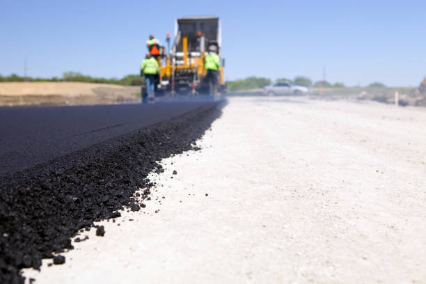 Best Residential Driveway Paving in Fish Hawk, FL